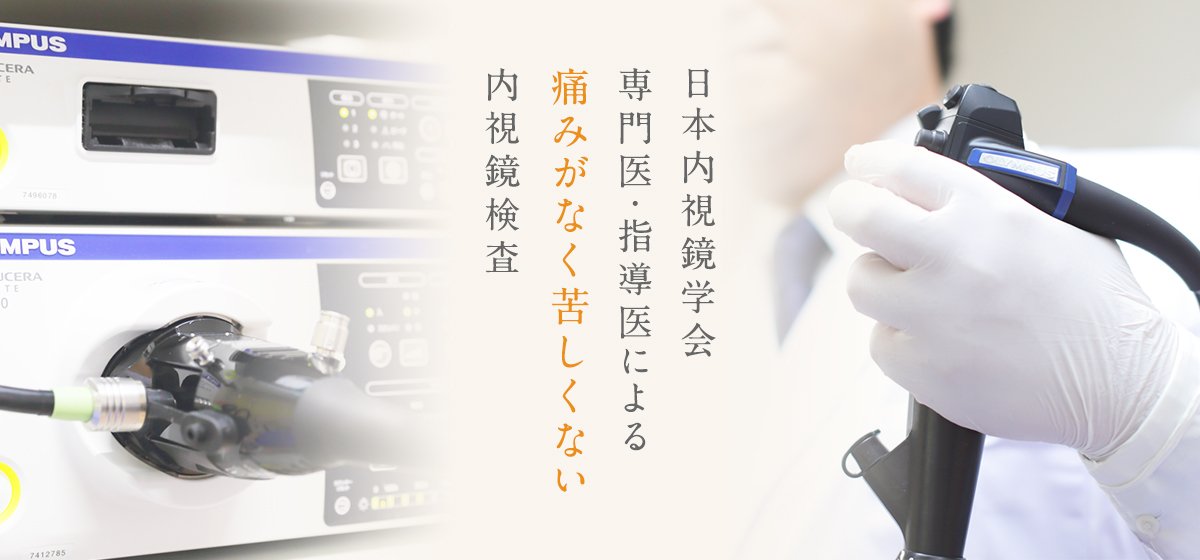 日本内視鏡学会専門医・指導医による痛みがなく苦しくない内視鏡検査