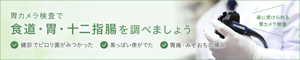 胃カメラで食道・胃・十二指腸を調べましょう